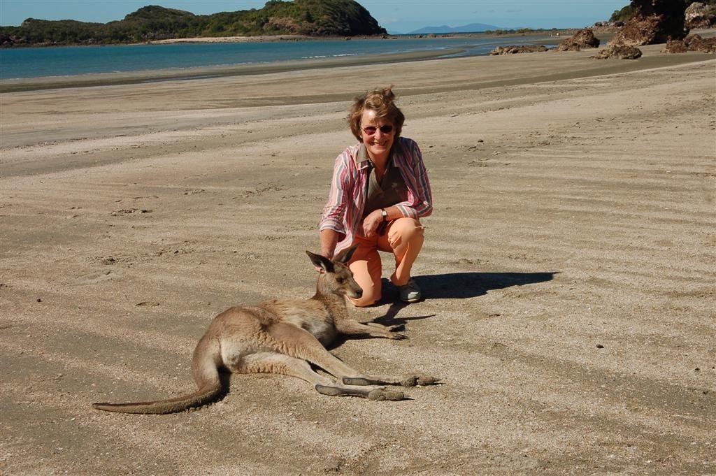 Cuddle a Wallaby © Peter Seymour
